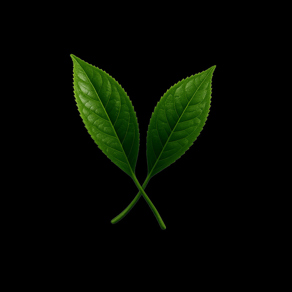 L-Theanine (Green Tea)